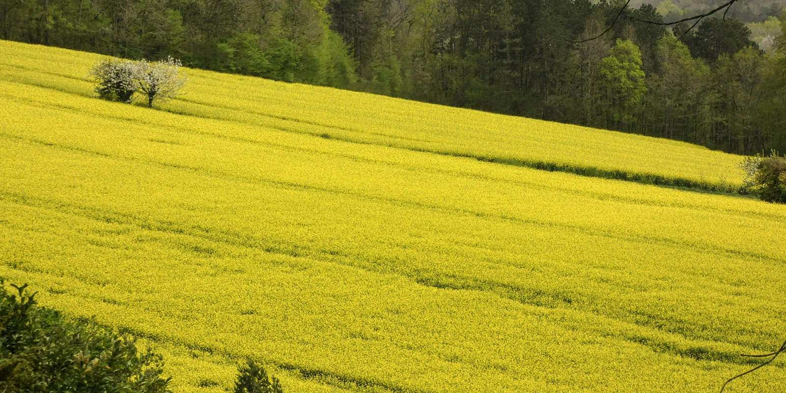Anthropologue Ethnologue : Un Métier Passionnant
