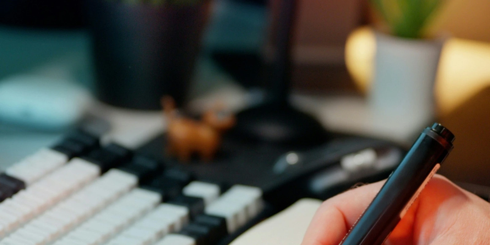 Histoire de l'Anthropologie : De ses Origines à Aujourd'hui