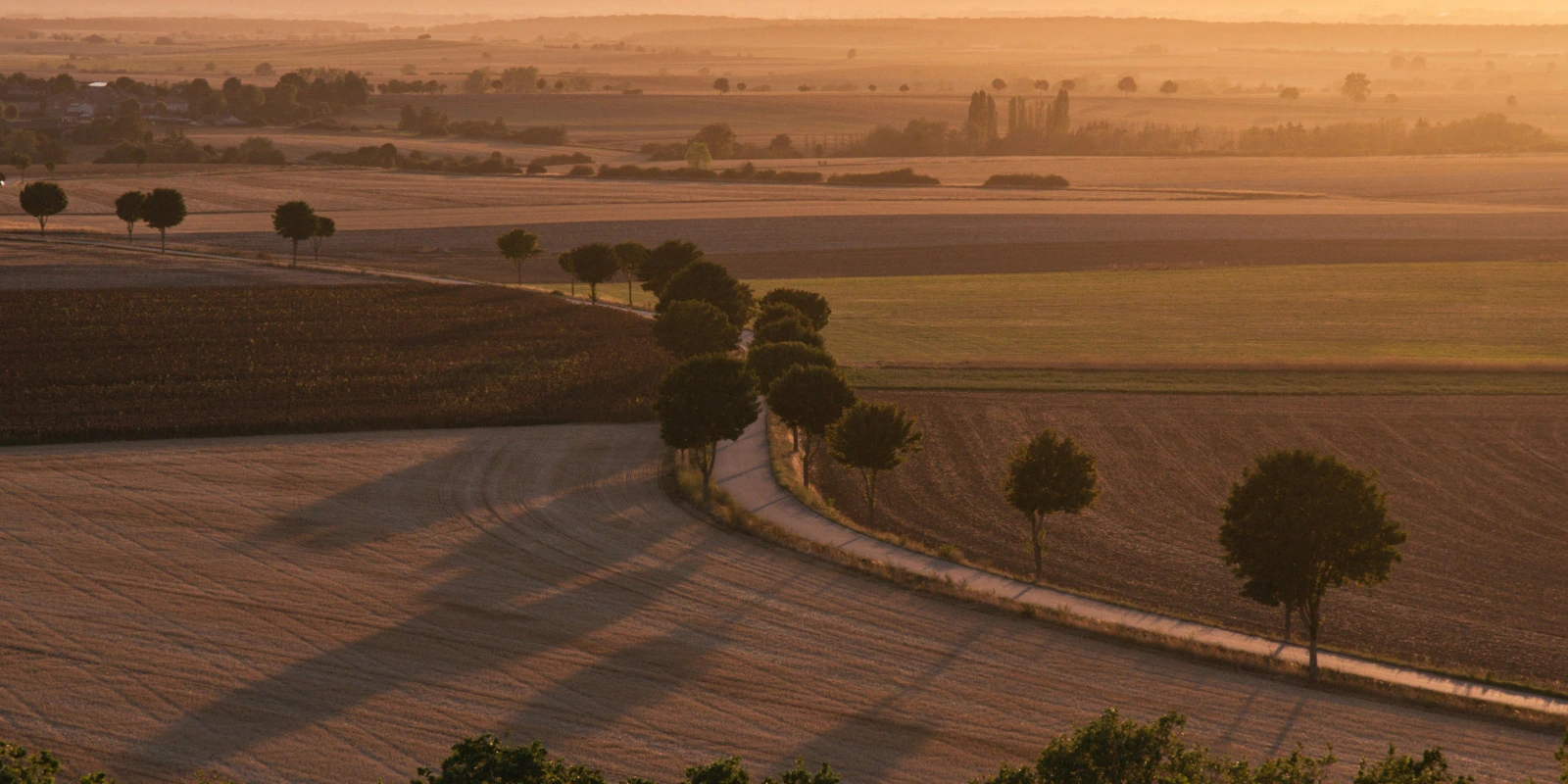 Licence en Anthropologie : Programme à Toulouse