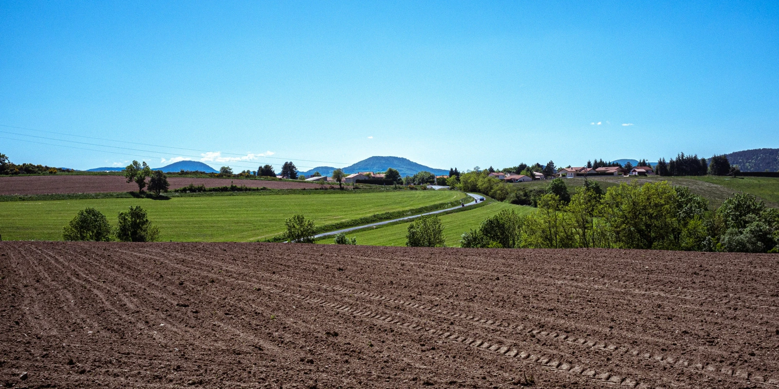 Licence SHAE (Sciences de l'Homme, Anthropologie, Ethnologie) : Cours et Matières
