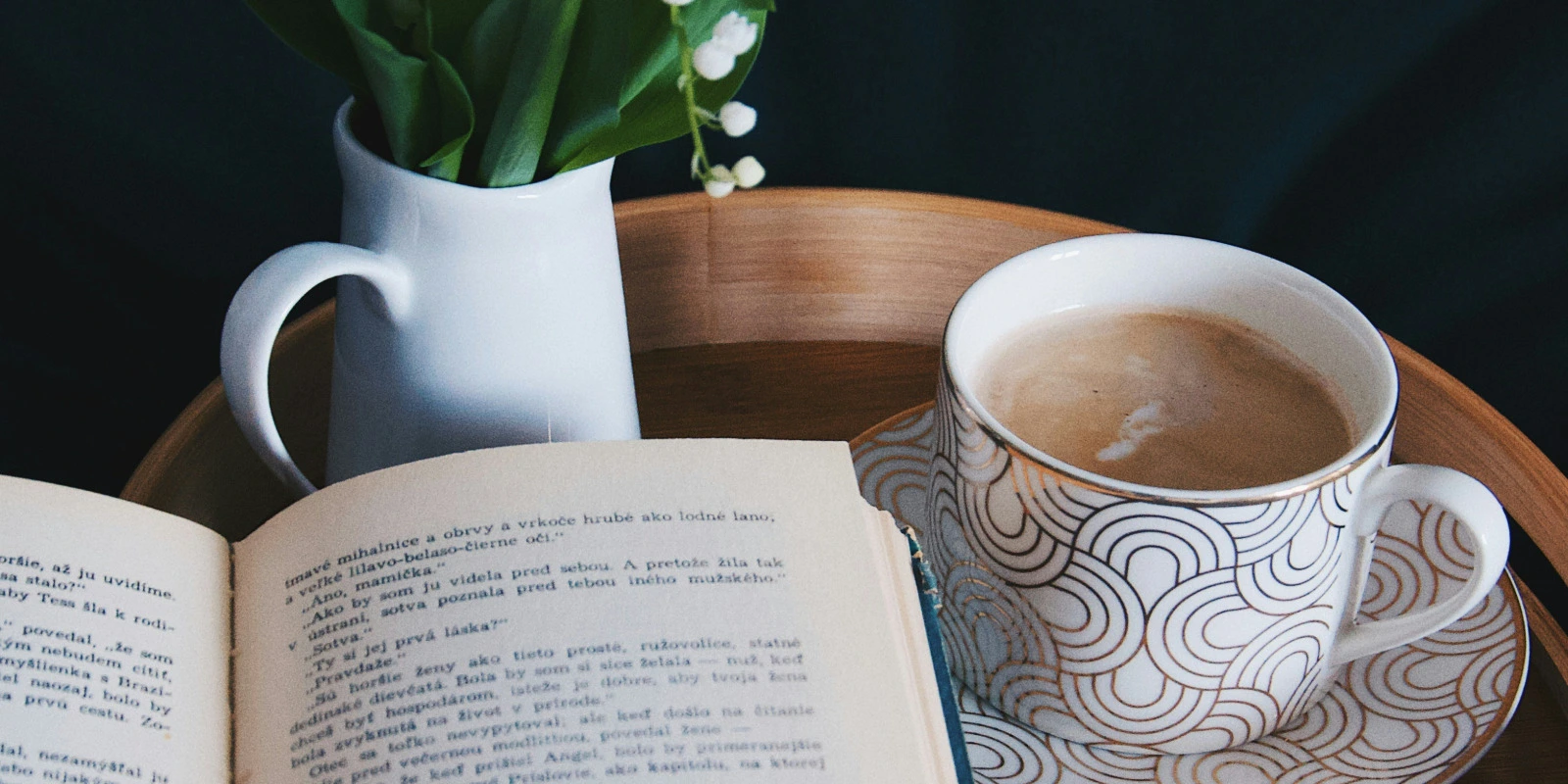 Licence SHAE (Sciences de l'Homme, Anthropologie, Ethnologie) : Perspectives de Recherche