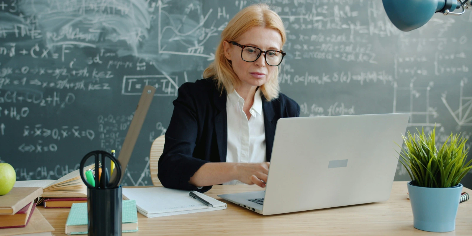 Licence SHAE (Sciences de l'Homme, Anthropologie, Ethnologie) : Programme et Contenu